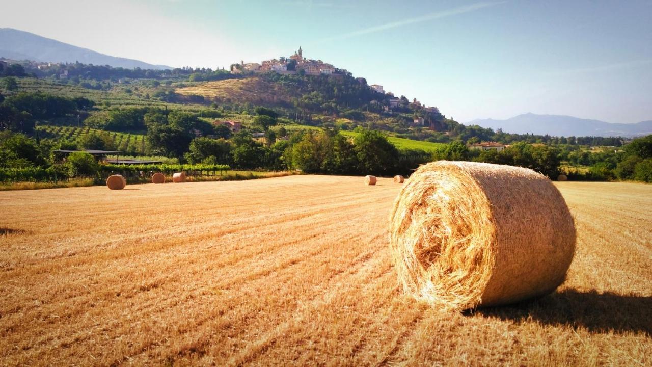 Holiday home Il Cortiletto Casa *